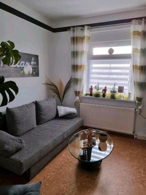Ferienwohnung *Zur Weinbergstrasse* Lauta Zewnętrze zdjęcie