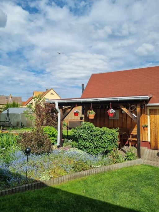 Ferienwohnung *Zur Weinbergstrasse* Lauta Zewnętrze zdjęcie