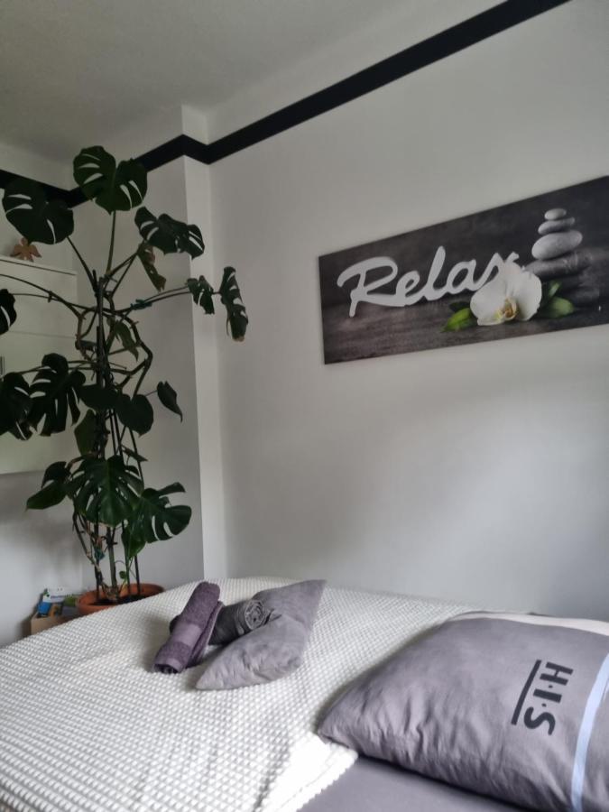 Ferienwohnung *Zur Weinbergstrasse* Lauta Zewnętrze zdjęcie